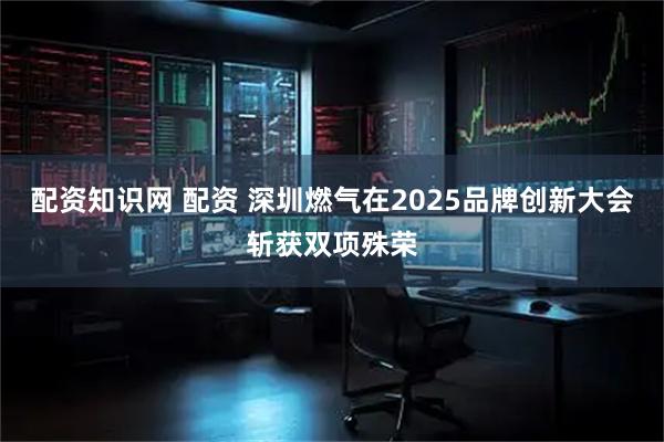 配资知识网 配资 深圳燃气在2025品牌创新大会斩获双项殊荣